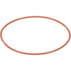 00189317 Bosch Oven Seal