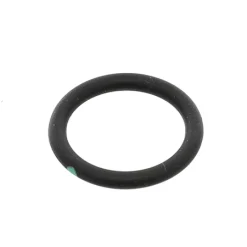 107000324 Rinnai O Ring