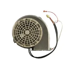 00669416 Bosch Oven Fan Motor