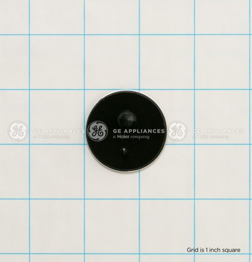 WR04X29375 GE Refrigerator GEA Badge Flat Chrome
