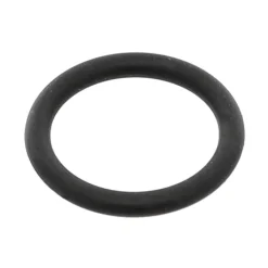 107000325 Rinnai O Ring