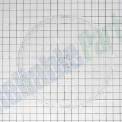 WB49X10176 - MICROWAVE GLASS TRAY