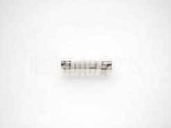 WB27X7 GE Oven Fuse