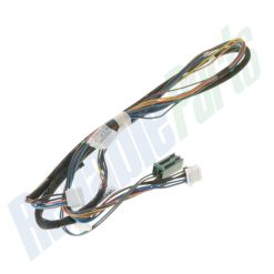 WD21X20125 - HARNESS ASM DOOR