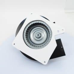 66002 Packard Draft Inducer, Goodman Replacement, 115 Volt, 1.2 Amps