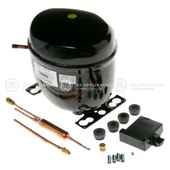WR87X10199 - COMPRESSOR KIT INVERTER