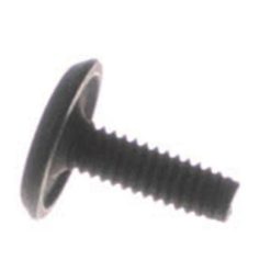 5303285179 Frigidaire Oven Door Screw