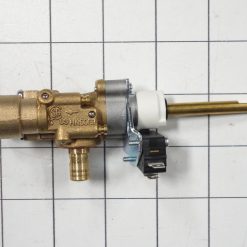 DE81-06396A Samsung 18K Natural Gas Valve Service Assembly