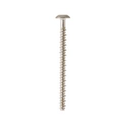 WB01T10067 GE Range Screw 10-16 PL PNT