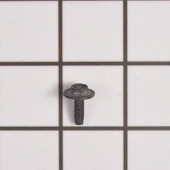WB1K37 GE Range Screw