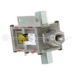 WB21X20474 - SAFETY VALVE DUAL