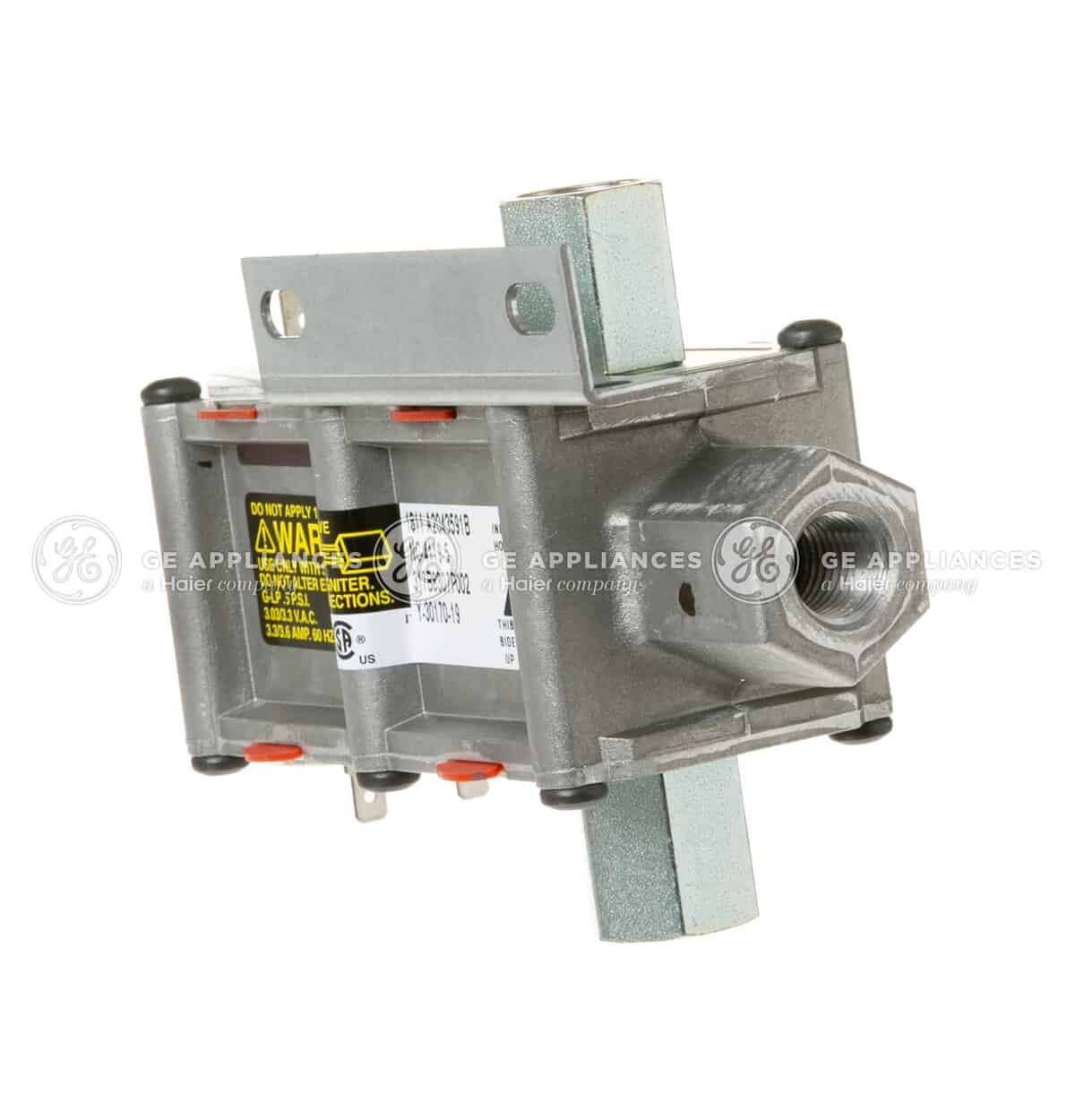 WB21X20474 - SAFETY VALVE DUAL