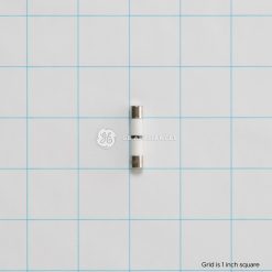 WB27X11099 GE Microwave Fuse