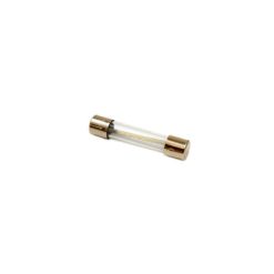 00631389 Bosch Oven Fuse