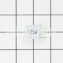 WB25K10002 GE Stove Range Oven Cooktop Appliance Pilot Lamp