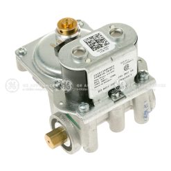 WE11X29741 - GAS VALVE