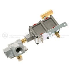 WB21X20293 - VALVE CONTROL ASM NOR.D