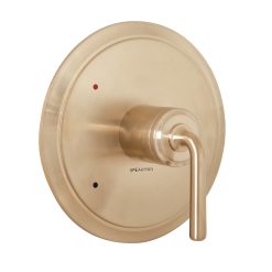 DUO  SHOWER VALVE TRIM, BBZ
