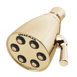6-JET BRASS SHOWERHEAD, PB, 1.75 GPM