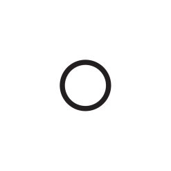 19 O RING-KIT (12)