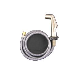 CHROME UNIVERSAL SPRAY HEAD ONLY FOR ETERNITY FAUC